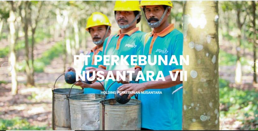 Pekerja PTPN VII. Empat unit kebun dan pabrik karet anak Perusahaan Holding Perkebunan Nusantara PTPN VII mendapat penghargaan Unit Kerja Berkinerja Terbaik Semester I/2021 se-PTPN Holding Perkebunan.