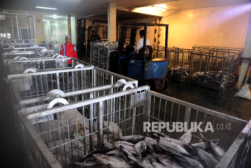 Pekerja sedang melakukan bongkar muat pada gudang ruang pendingin (cold storage) ikan (ilustrasi). PT Surabaya Industrial Estate Rungkut (SIER) menjajaki potensi bisnis cold storage perikanan di Sorong, Papua Barat Daya.