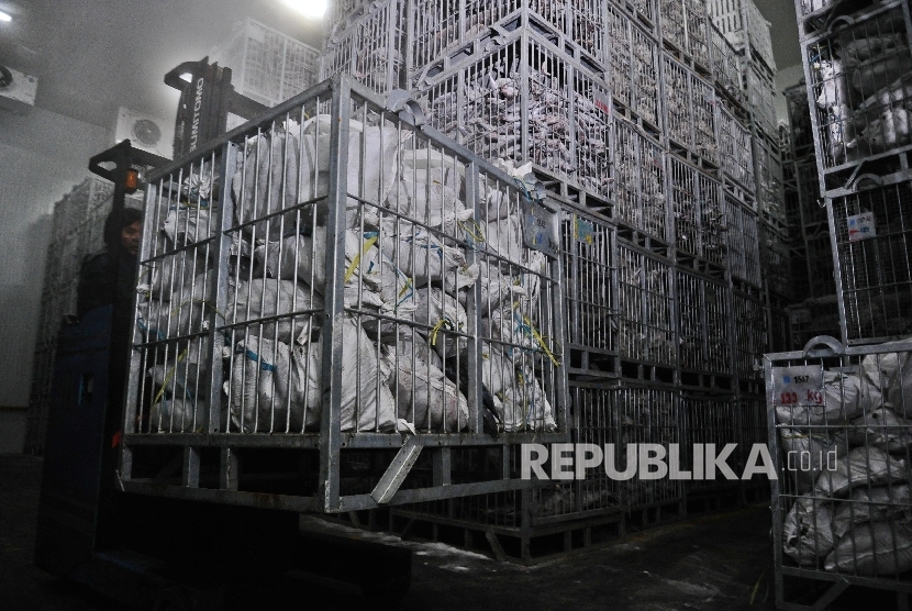 Pekerja sedang melakukan bongkar muat pada gudang ruang pendingin (Cold Storage) ikan di Jakarta, Jumat (12/2).  (Republika/Tahta Aidilla)