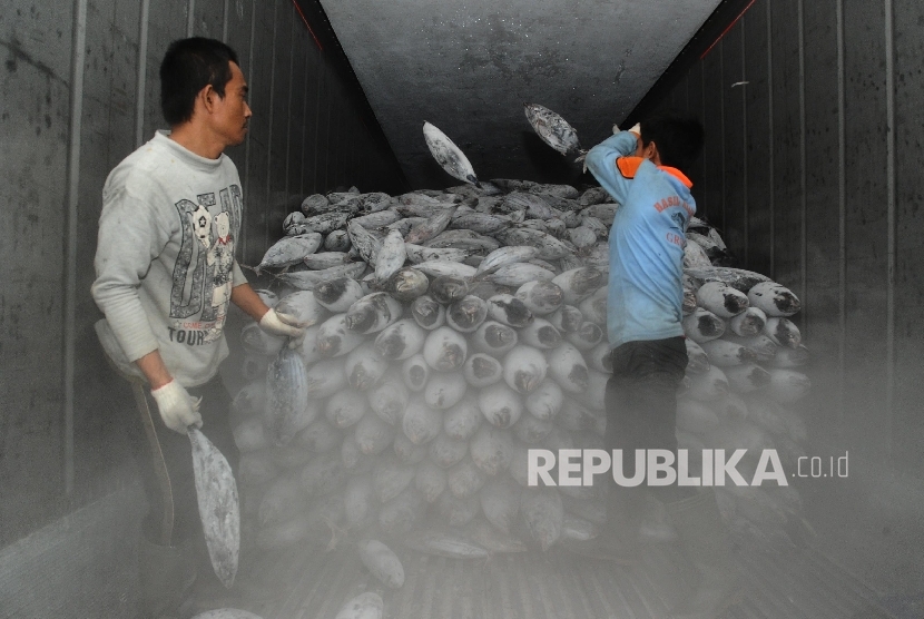 Pekerja sedang melakukan bongkar muat pada gudang ruang pendingin (Cold Storage) ikan di Jakarta, Jumat (12/2).  (Republika/Tahta Aidilla)