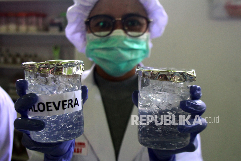 Pelajar menunjukkan salah satu bahan untuk membuat cairan antiseptik atau hand sanitizer yakni berupa lidah buaya (aloevera) di Laboratorium Farmasi SMK Prajna Paramita, Malang, Jawa Timur.