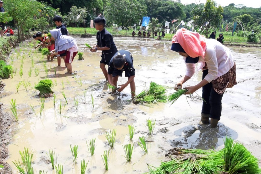 Pelajar SD di Kecamatan/Kabupaten Purwakarta, saat mengikuti Festival Maneuh di Sunda, yang diselenggarakan oleh SMPN 10 Purwakarta, Rabu (13/3). Para pelajar ini, mengikuti lomba tandur (tanam padi), ngurek belut, dan ngagubyag balong.