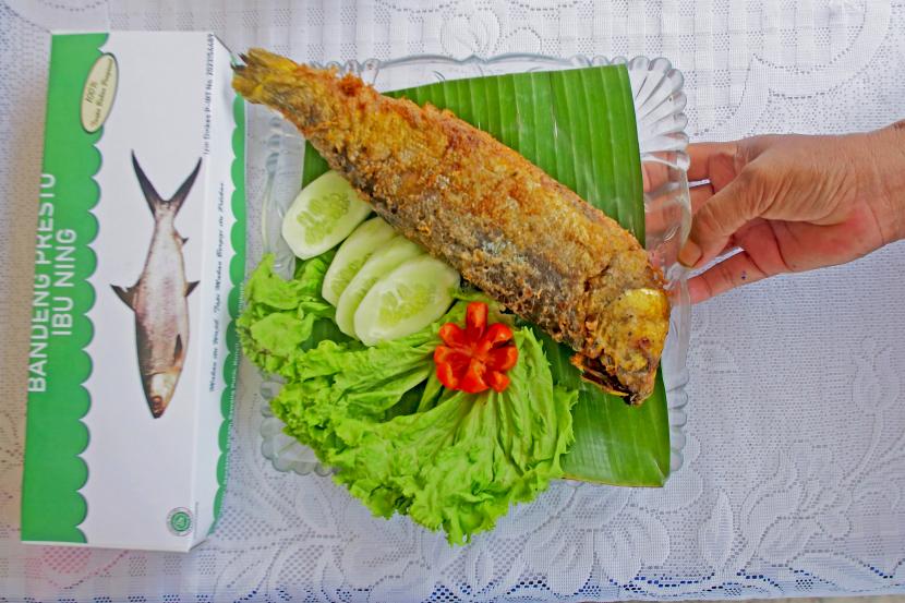Pemkab Purbalingga Ajak Masyarakat Gemar Makan Ikan (ilustrasi).