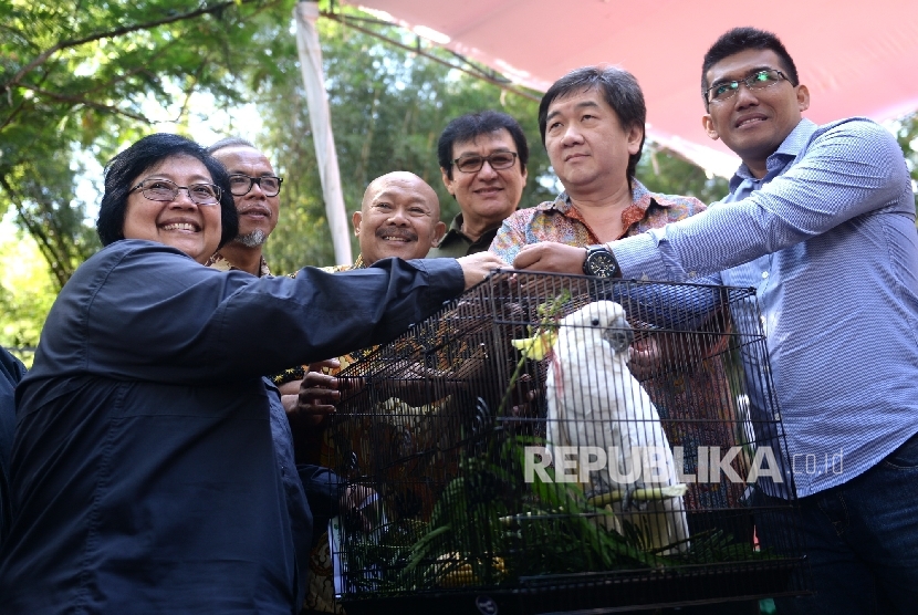 Menteri LHK Siti Nurbaya melepasliarkan Jalak Putih di Taman Safari Indonesia, Bogor, Jawa Barat, Sabtu (11/6).