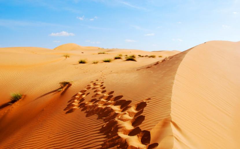 Pelari Finlandia Coba Pecahkan Rekor Melintasi Gurun Pasir Terbesar Saudi