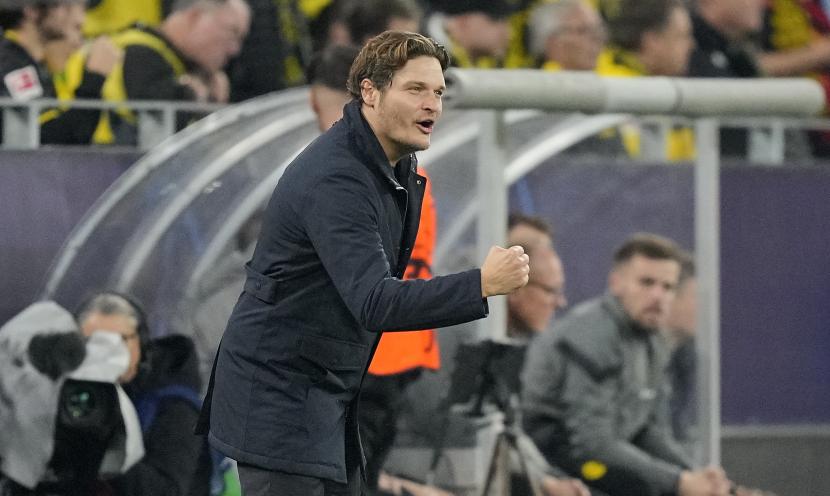 Pelatih kepala Dortmund Edin Terzic