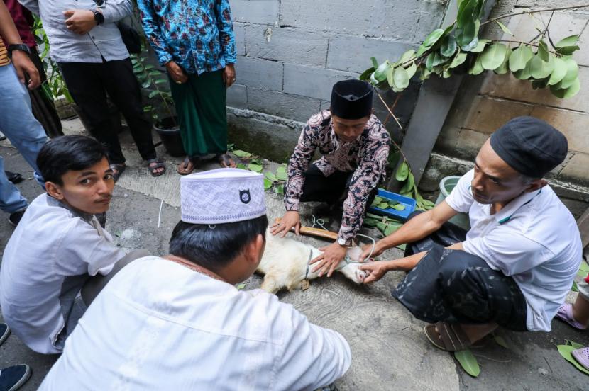 Pelatihan tentang tata cara pelatihan penyembelihan hewan secara syariat Islam di Jakarta. 