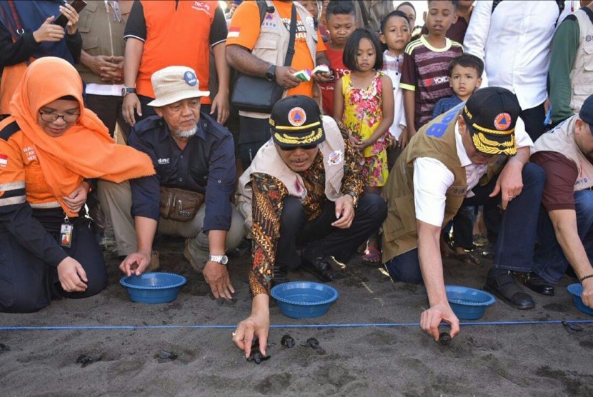 Pelepasan tukik atau anak penyu ke Samudera Hindia yang dilkukan pejabat-pejabat lembaga penanggulangan bencana dalam Ekspedisi Destana Tsunami 2019 di Pantai Boom, Desa Kampungmandar, Kabupaten Banyuwangi, Jawa Timur.