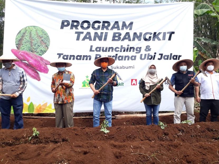 Peluncuran Program Tani Bangkit berupa launching tanam perdana ubi jalar di Kampung Kubang, Kecamatan Lembursitu, Kota Sukabumi, Sabtu (27/3).Program ini digagas Lembaga Zakat Infaq dan Shadaqah Muhammadiyah (Lazismu)