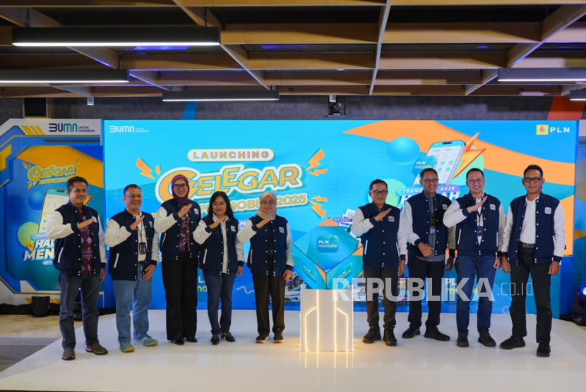 Peluncuran program PLN.