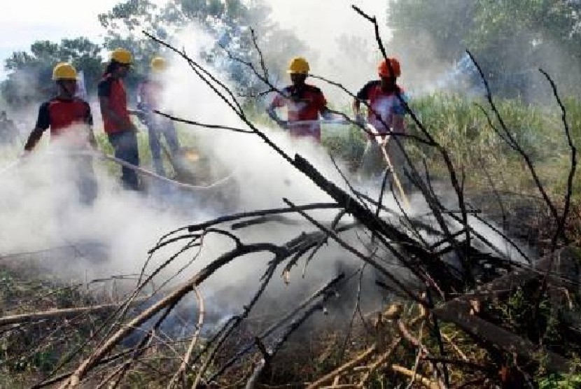 Pemadaman Api di sejumlah Hutan di Sumatera