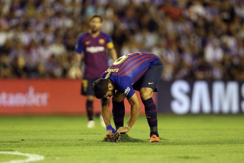  Pemain Barcelona Luis Suarez (depan) memperbaiki rumput yang rusak kala tandang ke Markas Real Valladolid di Nuevo Jose Zorilla Stadium. Buruknya kondisi lapangan membuat pihak Liga Spanyol melakukan investigasi standardisasi untuk kompetisi La Liga 