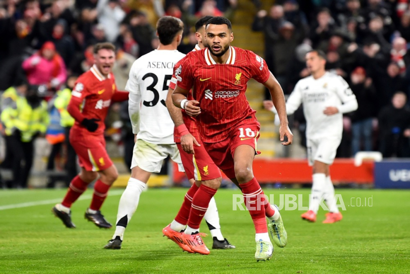 Pemain Liverpool Cody Gakpo merayakan golnya ke gawang Real Madrid dalam pertandingan kelima penyisihan Liga Champions di Anfield, Kamis (28/11/2024) dini hari WIB. 