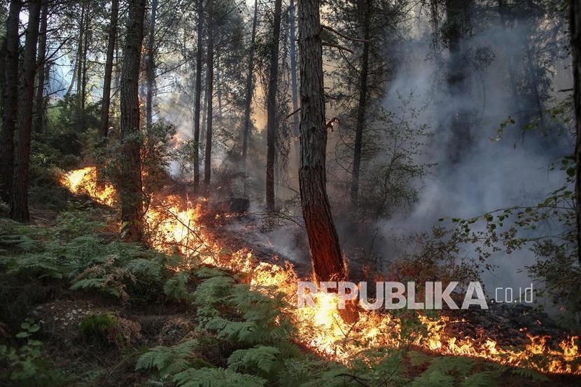  Pemandangan api dari kebakaran hutan yang membakar pohon di daerah pedesaan distrik Marmaris di Mugla, Turki, Sabtu (31/7/2021). Menurut pernyataan Presidensi Manajemen Bencana dan Darurat pemerintah Turki (AFAD) yang dirilis pada 30 Juli 2021, setidaknya tiga orang kehilangan nyawa dan sekitar 271 lainnya terkena dampak kebakaran yang melanda pantai selatan negara itu.