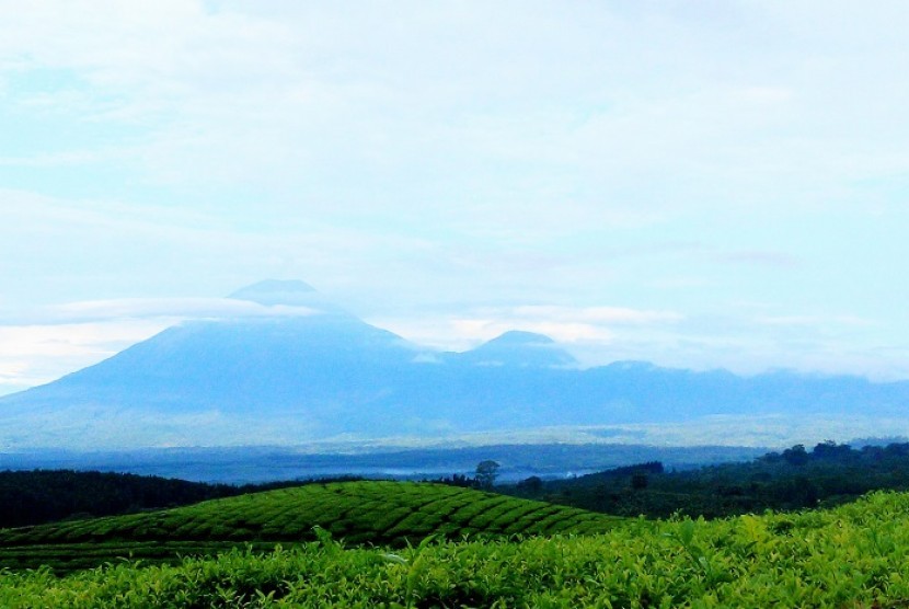 Pemandangan dari Bukit Inspirasi di kawasan wisata Gucialit dengan latar puncak gunung Lemongan, Argopuro dan Raung