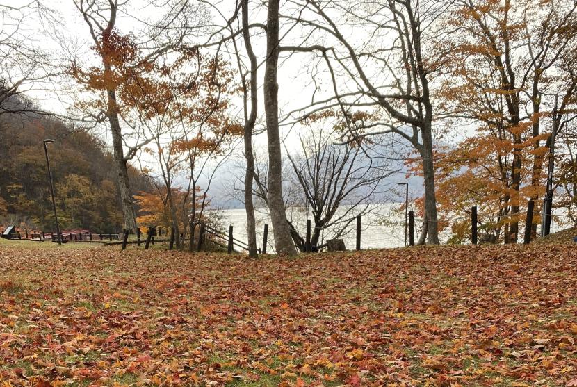 Pemandangan di tempat wisata Chitose Hokkaido, Jepang. Hokkaidō dinobatkan sebagai prefektur paling menarik di Jepang selama enam belas tahun berturut-turut pada tahun 2024.