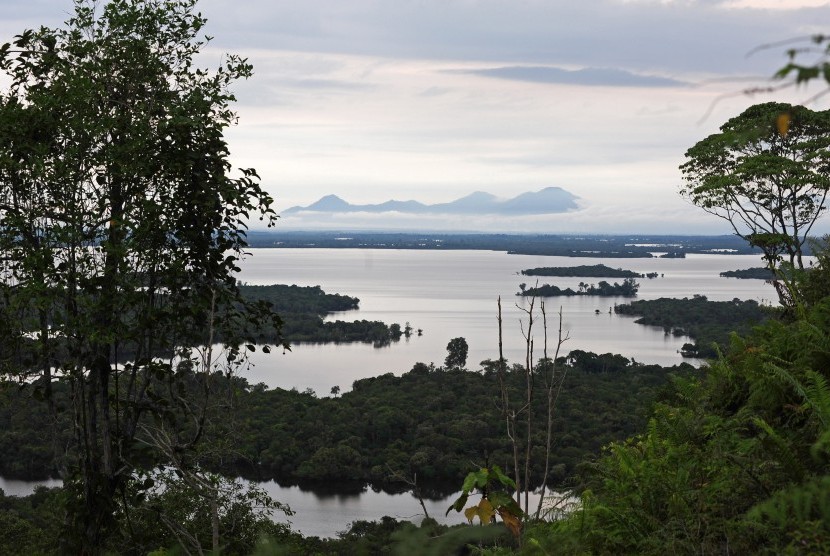 Pemandangan kawasan Taman Nasional Danau Sentarum (TNDS) di Kapuas Hulu, Kalimantan Barat. Danau Sentarum masuk dalam 15 danau prioritas nasional. 