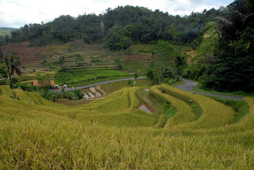 Pemandangan lahan pertanian di Desa Deudel, Tasikmalaya, Jawa Barat.