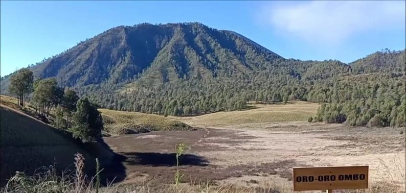 Bukit Simbar Semeru Jadi Destinasi Wisata Baru di Lumajang (ilustrasi).