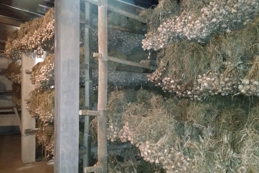 Pemanfaatan teknologi ozon juga diaplikasikan oleh produsen benih bawang putih di Magelang.