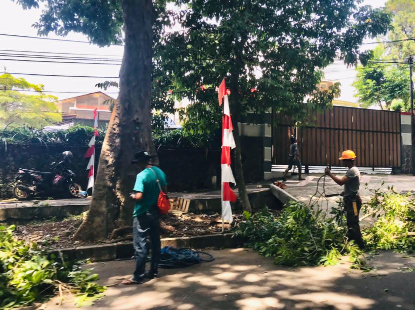 Pemangkasan pohon yang sudah terlalu rimbun di Jalan Ahmad Yani, dalam rangka pemeliharaan pohon rutin di Kota Bogor oleh Dinas Perumahan dan Permukiman (Disperumkim) Kota Bogor, Kamis (26/8).
