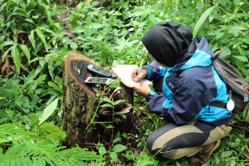 Pemantau di Kawasan Hutan Konservasi Lampung. Lampung akan menggelar Festival Wisata Hutan untuk mengenalkan potensi hutan.