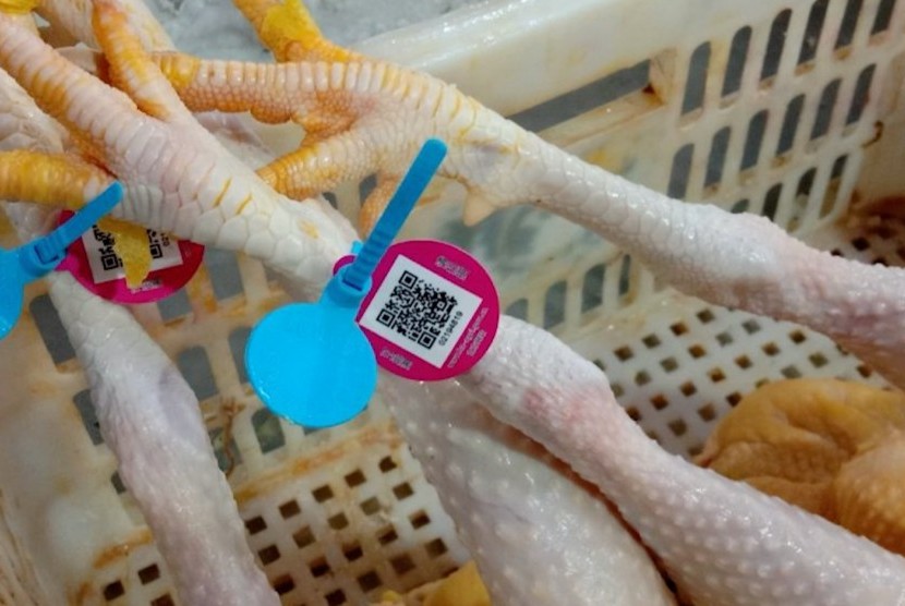 Pemasangan kode QR pada ayam di pasar basah Luo Jia Zhuang di Hangzhou, China.