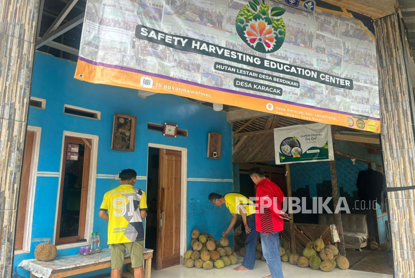 Pembeli memilih durian Cengal di Desa Karacak, Leuwiliang, Kabupaten Bogor.