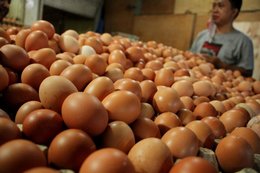 Pembeli memilih telur ayam ras yang dijualnya (ilustrasi). Badan Pangan Nasional (NFA) mendorong masyarakat untuk dapat meningkatkan konsumsi telur ayam demi memenuhi gizi seimbang sekaligus pencegahan stunting.
