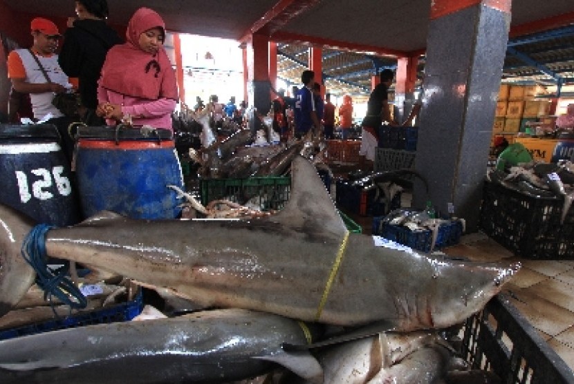 Pembeli mengamati ikan hiu yang dijual di tempat pelelangan ikan Karangsong, Indramayu, Jawa Barat.