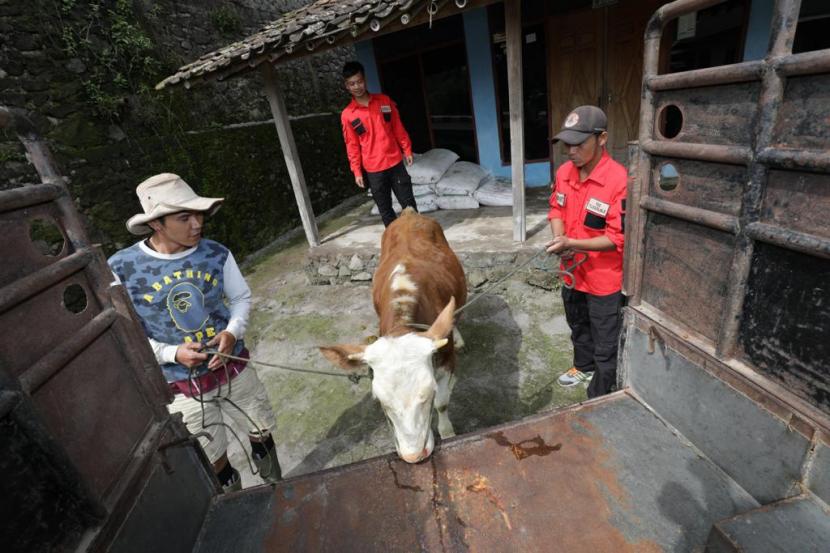 Pemerintah Indonesia melalui Badan Nasional Penanggulangan Bencana (BNPB) telah menetapkan Status Keadaan Tertentu Darurat Penyakit Mulut dan Kuku (PMK) pada hewan ternak melalui Surat Keputusan Kepala BNPB Nomor 47 Tahun 2022. 