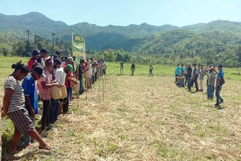 Pemerintah Kabupaten Ende menyediakan bibit jagung untuk mendorong petani menanam jagung seluas 200 hektar, 180 hektar di Kecamatan Kotabaru dan 20 hektar di Kecamatan Wewaria. 