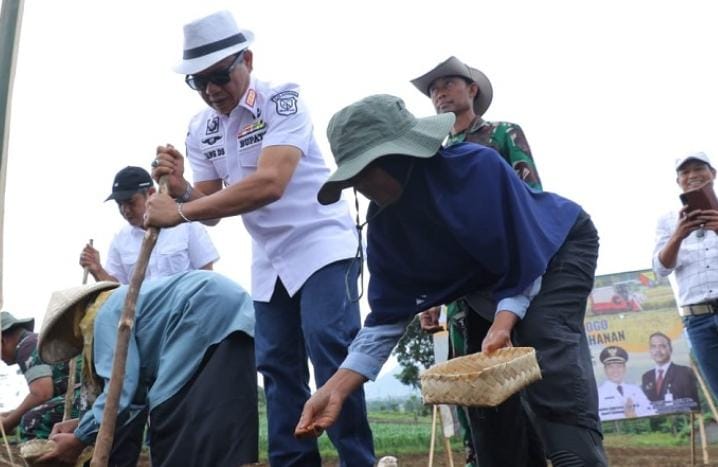 Pemerintah Kabupaten (Pemkab) Bandung meluncurkan program penanaman padi gogo terintegrasi di SPLPP Unpad di Desa/Kecamatan Arjasari, Kabupaten Bandung, Rabu (8/1/2025).