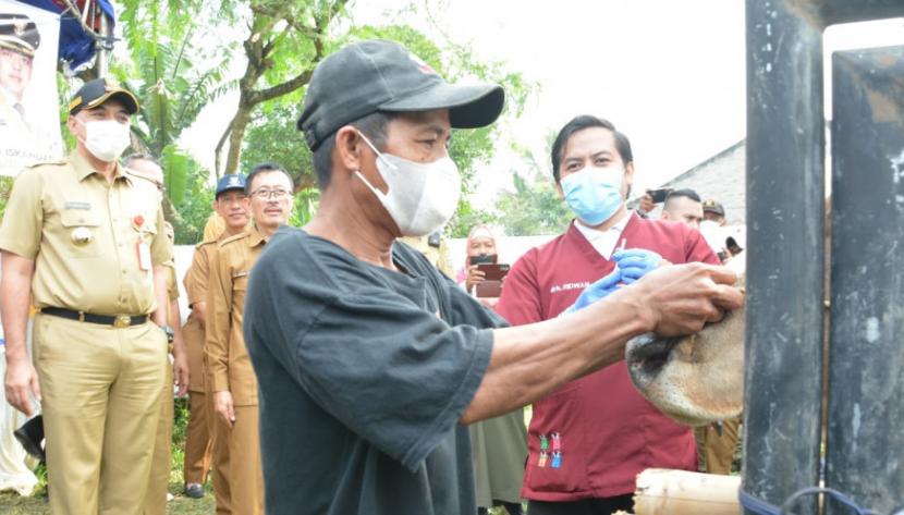 Pemerintah Kabupaten Tangerang mencatat ada lebih dari 500 hewan ternak di Kabupaten Tangerang, Banten yang terpapar penyakit mulut dan kuku (PMK). Sebanyak 80 persennya dinyatakan sudah sembuh, selebihnya masih menjalani proses pengobatan. 