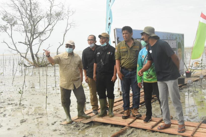 Pemerintah Provinsi Kepulauan Bangka Belitung (Pemprov Babel) kembali menyelenggarakan padat karya dengan menanam pohon mangrove berlangsung di Desa Batu Beriga, Kecamatan Lubuk Besar, Kabupaten Bangka tengah, Kamis (15/10).