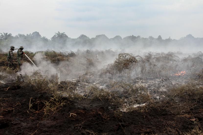 Pemerintah Provinsi Riau mengumumkan status siaga darurat kebakaran hutan dan lahan. Kebakaran hutan dan lahan di tiga kabupaten di Riau berpotensi terus meluas.