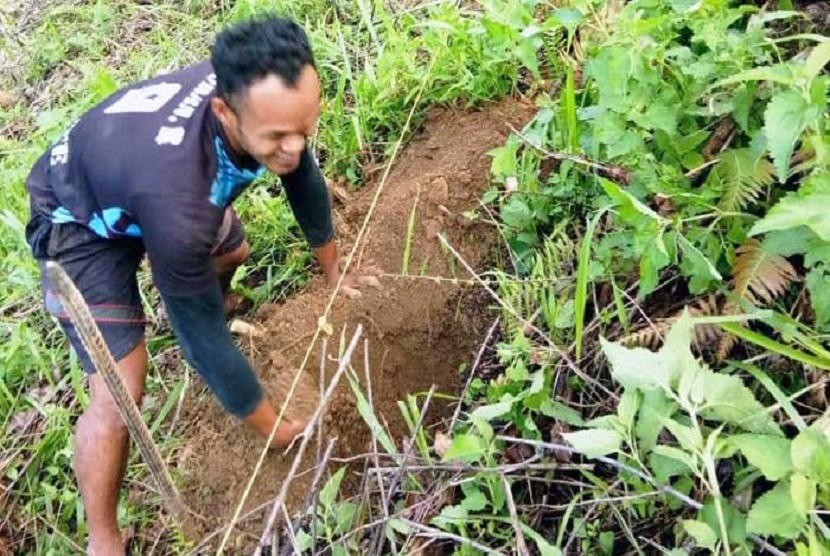 Pemerintah Provinsi Sulawesi Sulawesi Barat [Pemprov Sulbar] melalui dinas pertanian (Distan) memberi 1.600 batang bibit kopi robusta kepada petani dari kelompok tani (Poktan) Tunas Harapan di Desa Rante Lemo, Kecamatan Bambang.