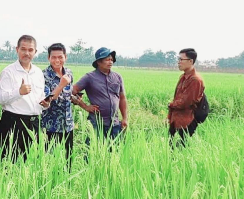 Pemerintah Provinsi Sumatera Utara (Pemprov Sumut) berupaya mengantisipasi musim kemarau dalam mengamankan produksi tanaman pangan di musim tanam II dan III tahun 2020. Berdasarkan informasi dari pihak Badan Meteorologi, Klimatologi dan Geofisika (BMKG), awal musim kemarau berlangsung pada Mei 2020 dan puncaknya sekira Juli-Agustus 2020.