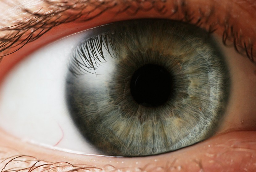 Berkedip meningkatkan kekuatan stimulasi retina