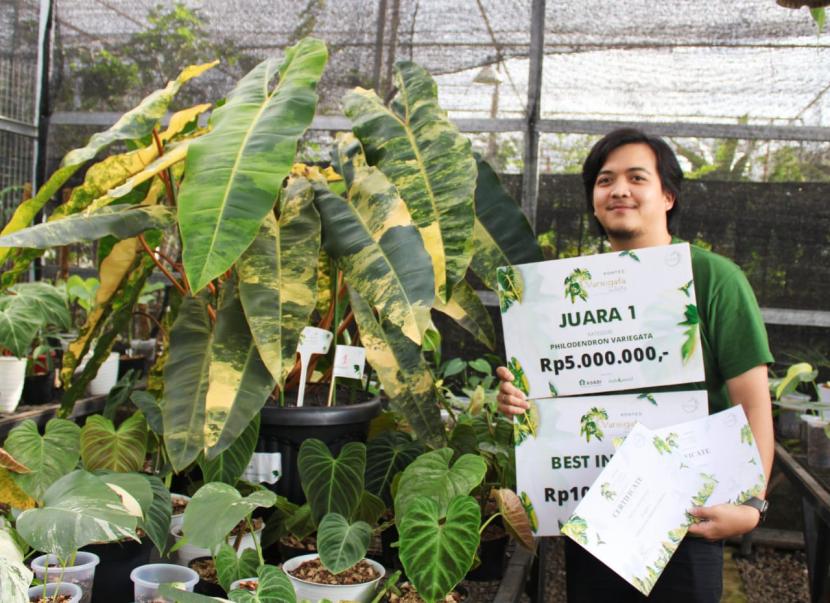 Pemilik Plan the Plants, Andri Satriawan, memperlihatkan penghargaan yang diperoleh Plan the Plants dalam kontes tanaman hias bergengsi, Variegata dan Kita, Senin (31/1/2022). 