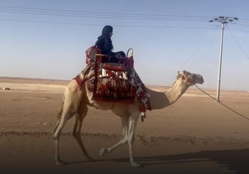 Akademisi Usulkan Pembuatan Ensiklopedia Unta Arab Saudi. Foto:   Pemilik unta Rasha Al-Qurashi dari Arab Saudi memulai perjalanan dari Riyadh ke Jeddah pada 1 September 2022.