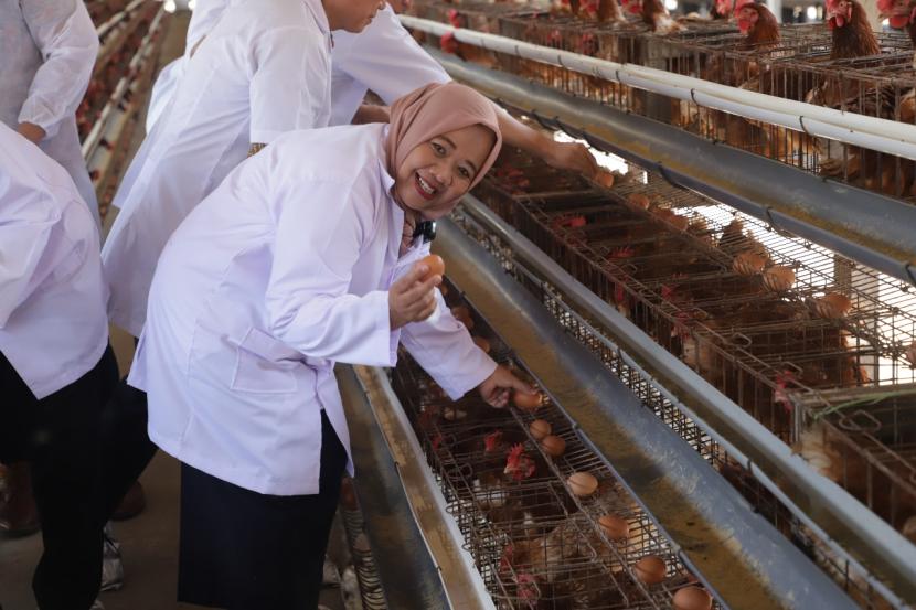 Pemkab Sleman melakukan pencanangan Kawasan Pertanian Sehat Komoditas Telur Ayam Ras, di CV Sinar Permata, Kedung Sriti, Umbulharjo, Cangkringan.