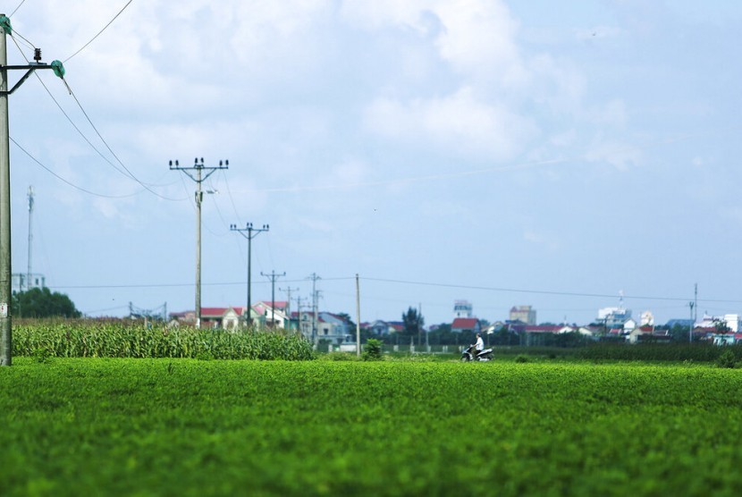 Pemotor melewati ladang kacang dan jagung di desa Dien Thinh, provinsi Nghe An, Vietnam, 28 Oktober 2019. Sebanyak 39 jasad warga Vietnam dari desa tersebut di truk berpendingin di Inggris.