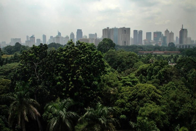 Penambahan Ruang Terbuka Hijau (RTH): Pepohonan menghijau di taman hutan kota di kawasan Senayan, Jakarta, Ahad (24/3). Pemda DKI bekerjasama dengan kementerian Kehutanan akan menambah ruang hijau dan mengembangkan hutan kota di Jakarta.