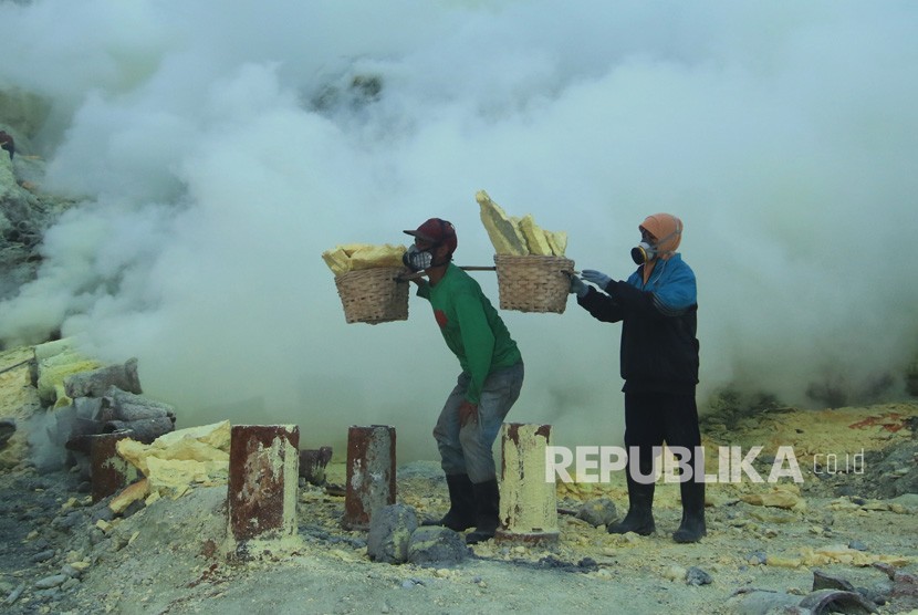 Penambang mengangkat bongkahan belerang hasil tambang di kawah Gunung Ijen, Banyuwangi, Jawa Timur, Kamis (7/11/2019).