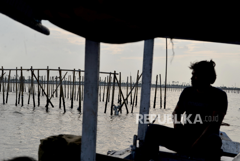 Penampakan pagar laut di kawasan Tanjung Pasir, Kabupaten Tangerang, Banten, Jumat (10/1/2024). Nelayan mengeluhkan sulit mencari tangkapan ikan akibat adanya pagar laut yang membentang di perairan Tangerang, Banten.