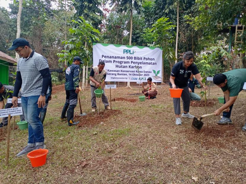 Penanaman 500 bibit pohon oleh PPLI di Kalimantan.