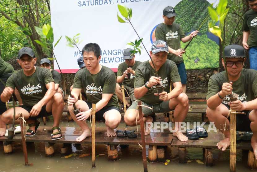 Penanaman bibit pohom Bakau di PIK, Jakarta Utara. 