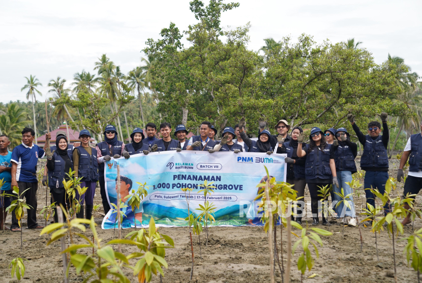 Penanaman mangrove.