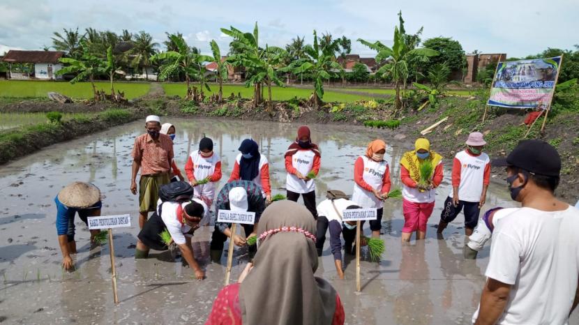 pencanangan Kampung Jajar Legowo atau Kampung Jarwo di lahan seluas 52 Ha di Lokasi IPDMIP, Kecamatan Jerowaru Kabupaten Lombok Timur, Kamis (28/1). 